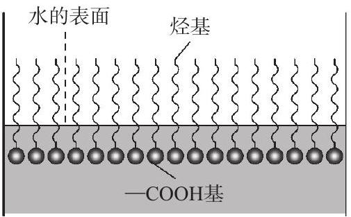 脂肪酸分子在水溶液表面上的定向排列