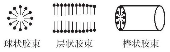 图8.13 各种形状的胶束